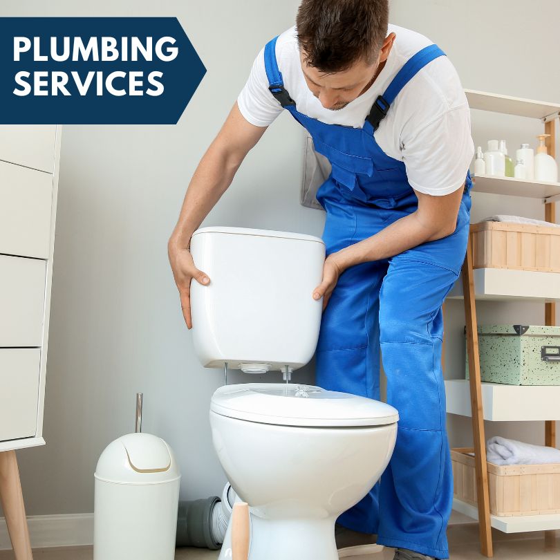 Plumbing Company in Campbell Hill, IL